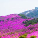 아던트스튜디오