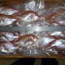 오늘의 생선 이미지