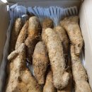 산속장어 이미지