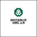 와이즈포레스트