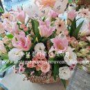 그린나래산후조리원 티스토리