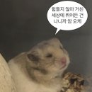 화사헤어 - 군포시 | 화사헤어