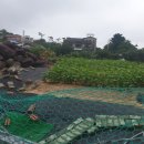 KTX우리부동산공인중개사사무소 이미지