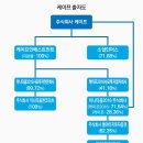 주식회사 케이프로 네이버블로그