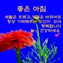 5월 9일 화요일 아침인사 이미지