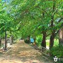 구 영주역 7호 관사 | 싱그러운 여름 한 조각, 새콤달달한 영주 사과 여행 코스