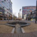 미송닭한마리 이미지