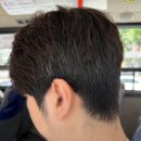 베이지헤어 | 선릉역 미용실 빛나게헤어 베이지브라운 새치 염색 후기 흰머리 고민 끝!