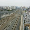 홍도지하보도 이미지