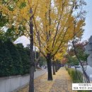 GB 행정사사무소 이미지