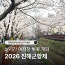 진해구 ⓒ-3 | 2026 진해군항제 실시간 개화상황 여좌천 벚꽃