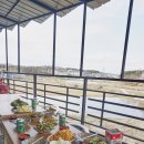 여주연잎사랑펜션 이미지