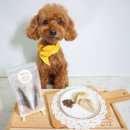 개밥드슈 이미지