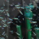 피쉬갤러리 천안점 이미지