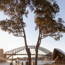 나무그늘파크(park) 이미지