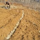 잔디 농장 이미지