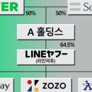 일본, 네이버 퇴출 본격화하는데…정부 "네이버 입장 존중" 이미지