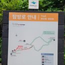정안곰공인중개사사무소 | 강원 특별자치도 인제군 “천상의 화원”, 점봉산 곰배령(1,164m)의 산림 생태 탐방