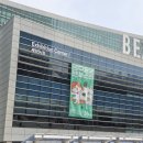 코리아팡팡 | 2026 부산 궁디팡팡 캣페스타 후기
