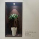 호암한의원 이미지