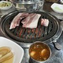 제주의 사색 | [여행] 평일에 떠난 휴학생의 뚜벅이 제주도 DAY2 (사람이 없다)