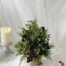 12/4 크리스마스 생화 트리 이미지