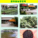 곰마을민박 이미지