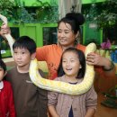 함평양서파충류생태공원 이미지