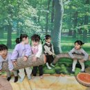 새싹과 나무어린이집 이미지