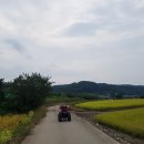 군위오토바이