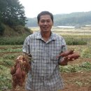 산골마을 영농조합법인 이미지