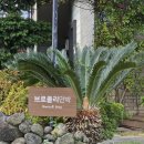 브로콜리 민박 | [제주 애월 숙소] 조용한 시골 마을 침실 두개 에어비앤비 <브로콜리 민박>