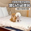 남이섬힐링캠핑장 | [별다리글램핑] 가평글램핑 애견동반 가능한 캠핑장 추천