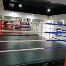 MS복싱아카데미 이미지