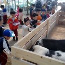 예원숲어린이집 이미지