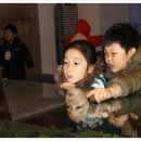 한양여대부속유치원 이미지