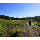 충희공 이인손 묘 이미지