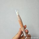 치크버스트 네이버블로그