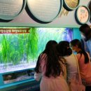 해강초교 이미지