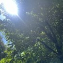 달려라 차차차 이미지