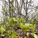 오뚜기농장 이미지