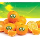 내당농산 이미지