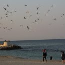 동해 바다 게스트하우스 이미지