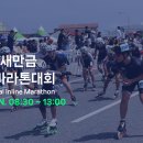 2025 군산 새만금 전국인라인마라톤대회 입금해주세요. 이미지