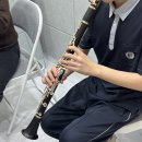 클라리넷;포유