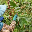 대오농장 이미지