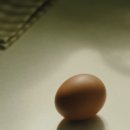 건설광고기획