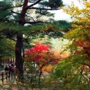 물도리