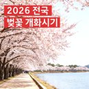 GS25 여주흥천점 | 2026 벚꽃축제정보 개화시기 피크닉장소 가볼만한 곳