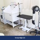 다녀오개습니다 네이버블로그
